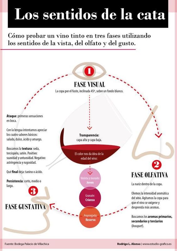 15 infografías para aprender sobre la degustación de vinos - The Big Wine  Theory